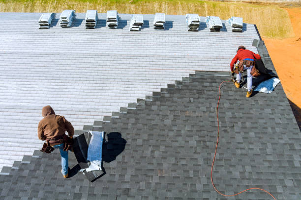 Best Roof Moss and Algae Removal  in Stanton, CA